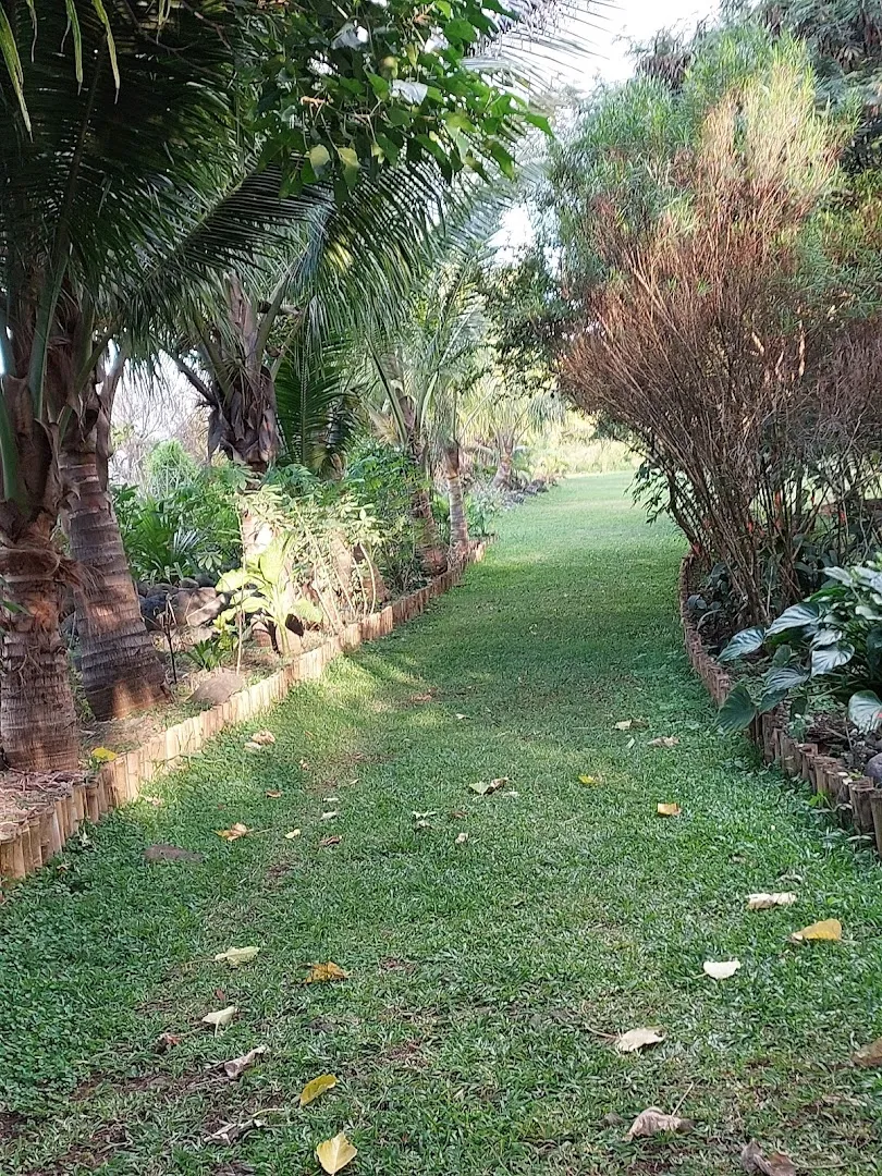 LE KIOSQUE A LA MER (CFG )( O'COEUR DE L'est)